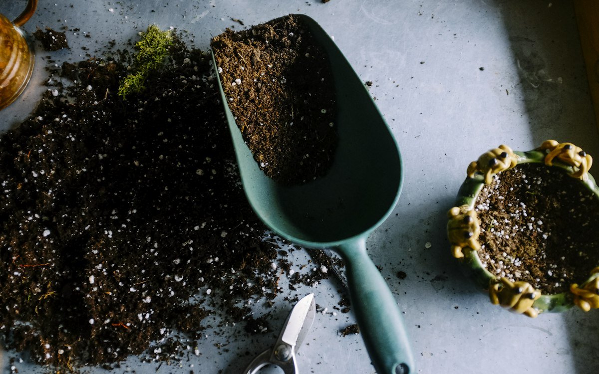 Mezcla de sustrato para plantas de interior con perlita sobre una mesa junto a una maceta.